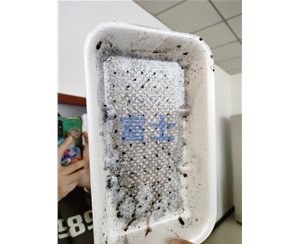 PS一次性吸水餐盒生產(chǎn)設(shè)備